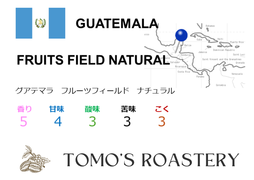 フルーツフィールド ナチュラル / FRUITS FIELD NATURAL