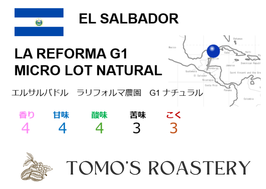 ラリフォルマ農園 G1ナチュラル / LA REFORMA MICRO LOT G1 NATURAL