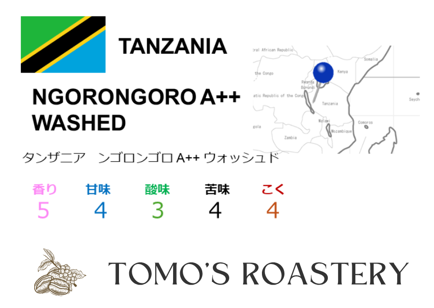 ンゴロンゴロ AA+ ウォッシュド / NGORONGORO AA+ WASHED
