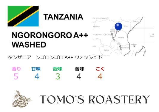 ンゴロンゴロ AA+ ウォッシュド / NGORONGORO AA+ WASHED