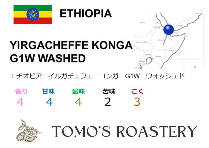 イルガチェフェ コンガ　G1W　 ウォッシュド / YIRGACHEFFE KONGA G1W WASHED