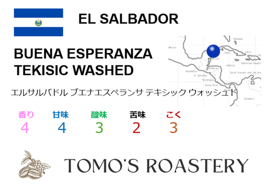 ブエナエスペランサ テキシック ウォッシュド / BUENA ESPERANZA TEKISIC WASHED