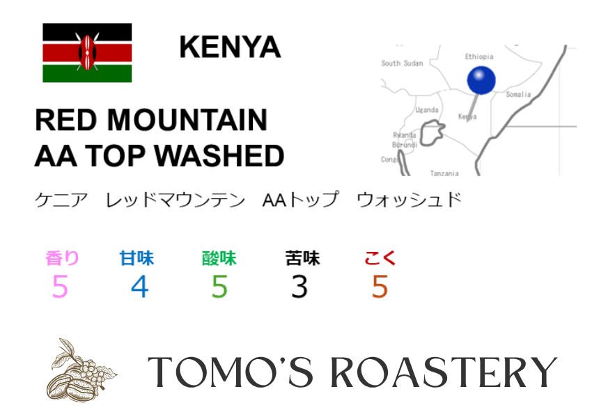 レッドマウンテン AAトップ ウォッシュド / RED MOUNTAIN AA TOP WASHED